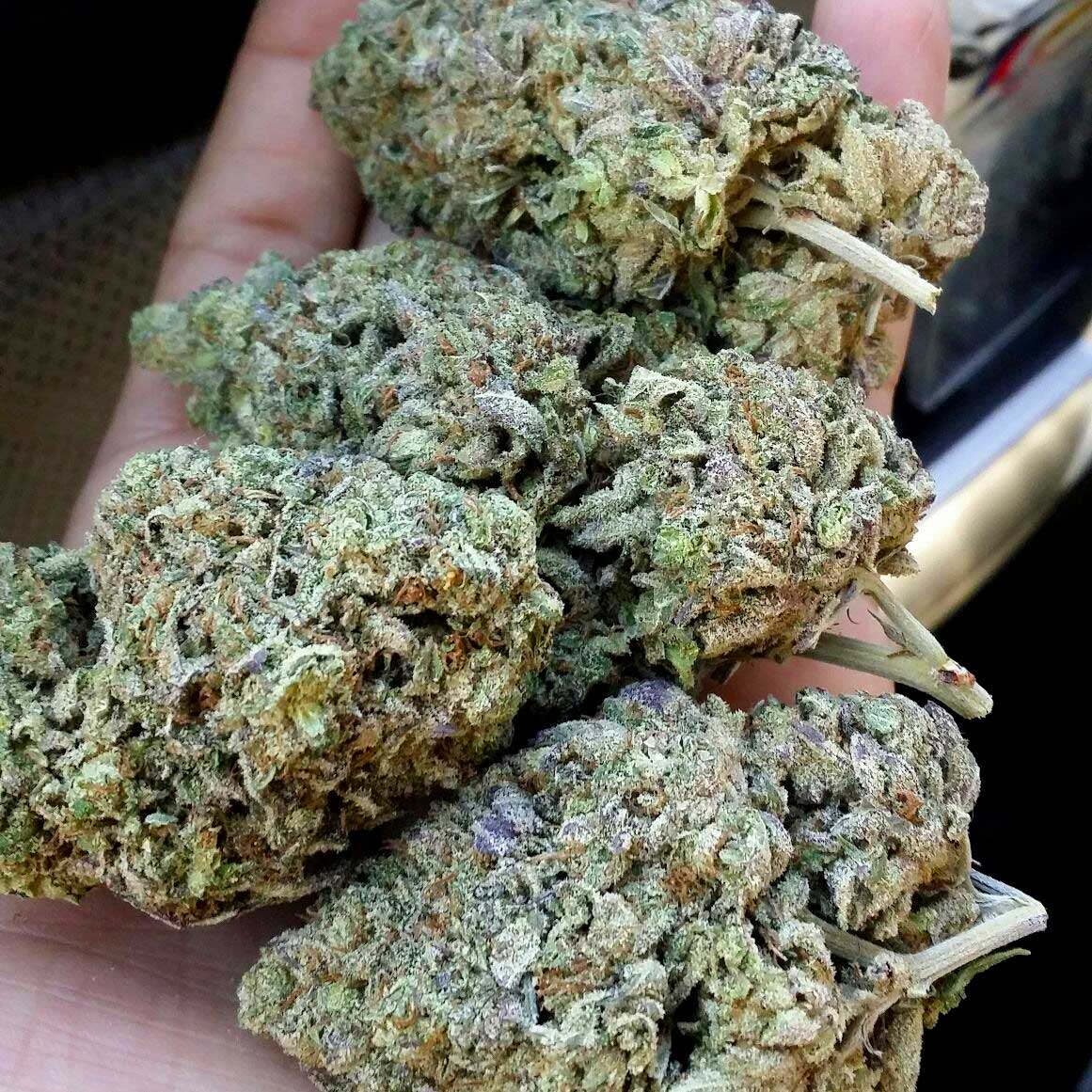 Platinum Girl Scout Cookies